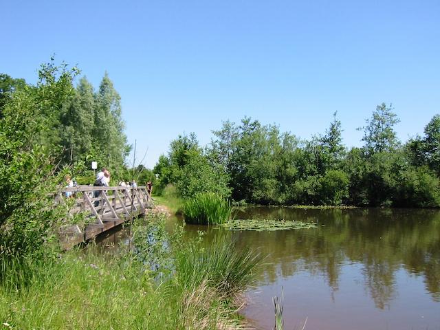 Rothsee Naturschutzgebiet